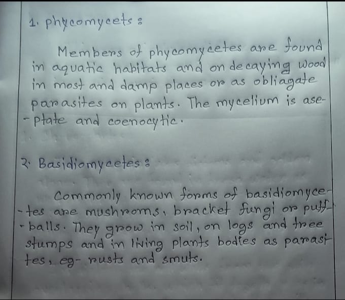 create a beautiful handwriting