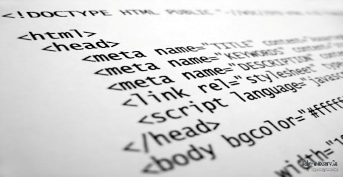 develop a custom web scraping script with data insertion to your database