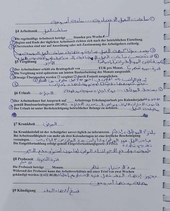 do professional german to arabic translation and subtitling