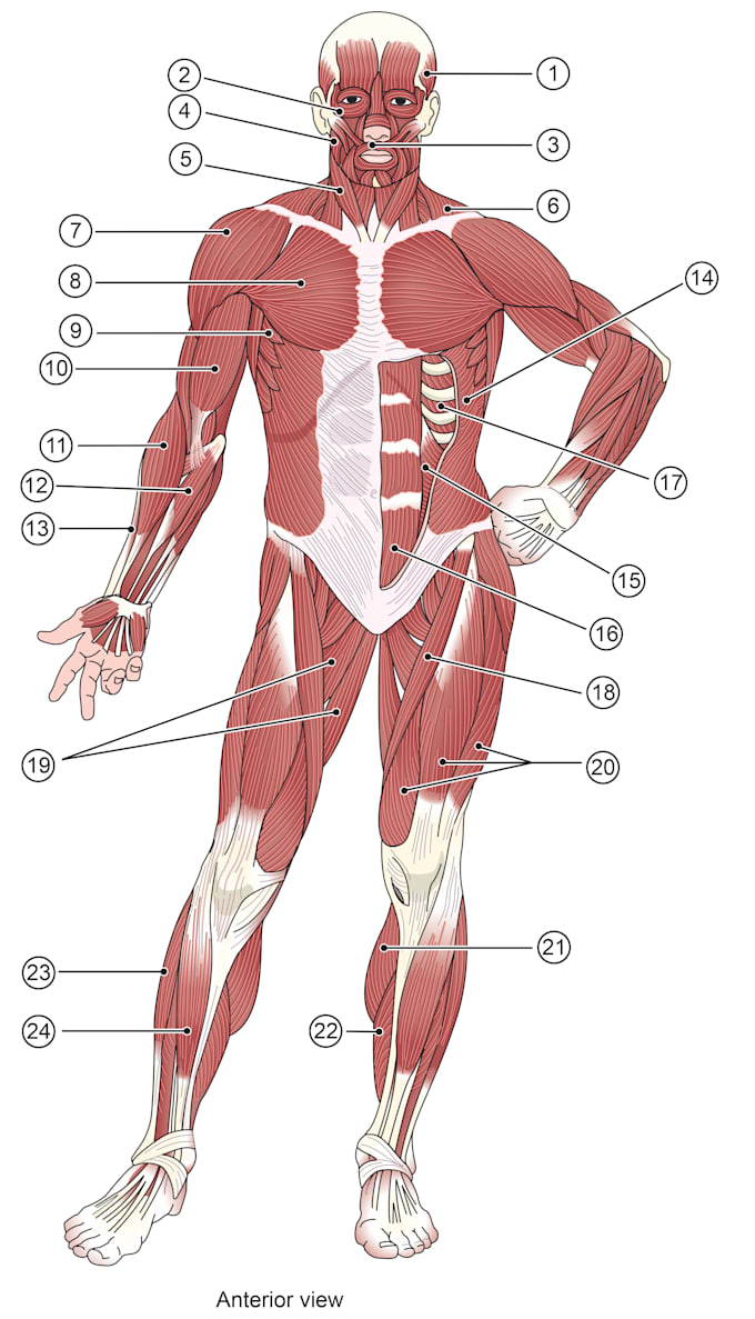 create publication ready scientific figures for journals