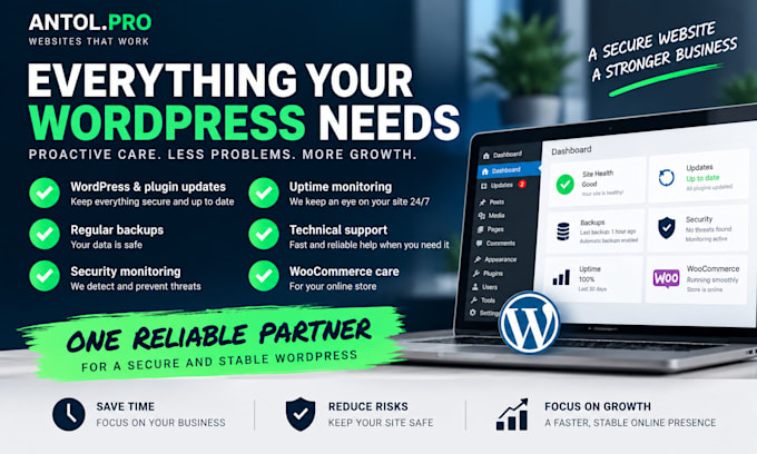 provide monthly wordpress maintenance, security and support