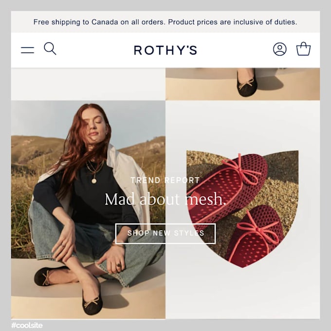 provide professional ecommerce customer support