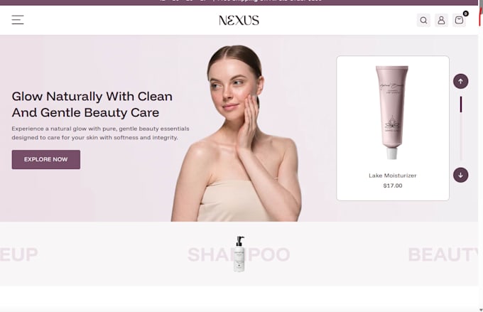 build a converting shopify store, professional quality
