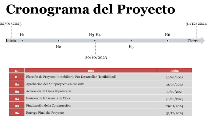 provide project management, ms project schedules, and risk controls