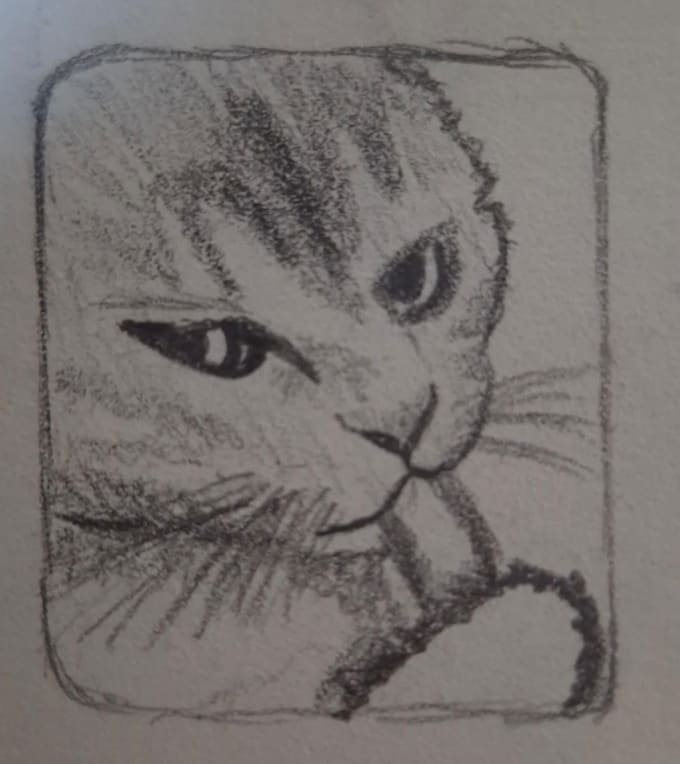 shitty portraits of pets