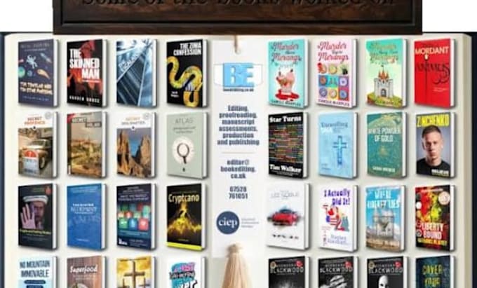 proofread, edit and format your manuscript for professional publishing