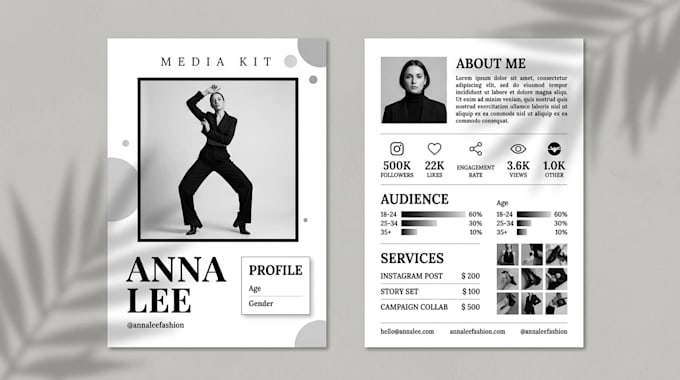 design a professional flyer media kit