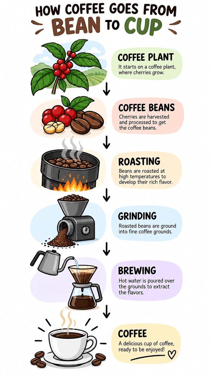create custom infographic illustrations for your content