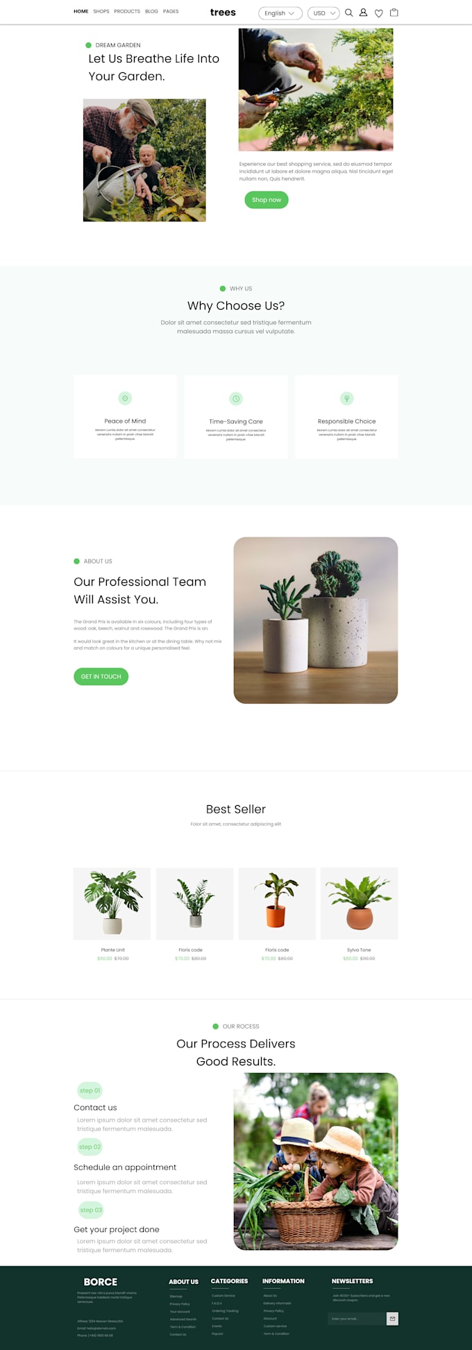 website devlopment and designe