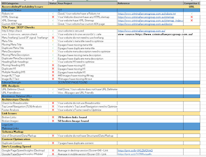 do advance website audit report