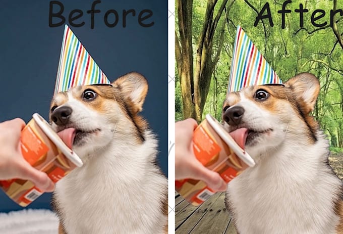profesionally remove backrounds from photos