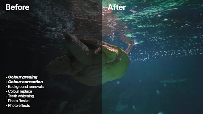 professionally colour grade and edit your photos