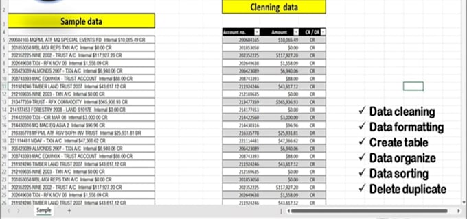 clean, organise, format and analyse your excel data