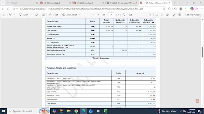 prepare pakistan income tax return and wealth statement