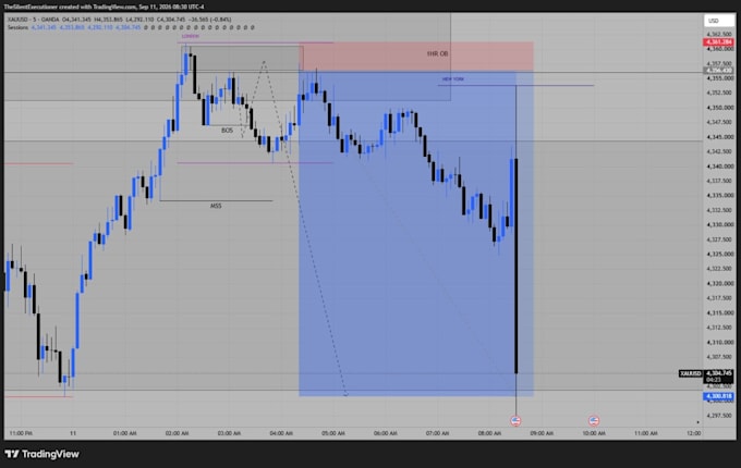 develop custom financial charting and data analysis software