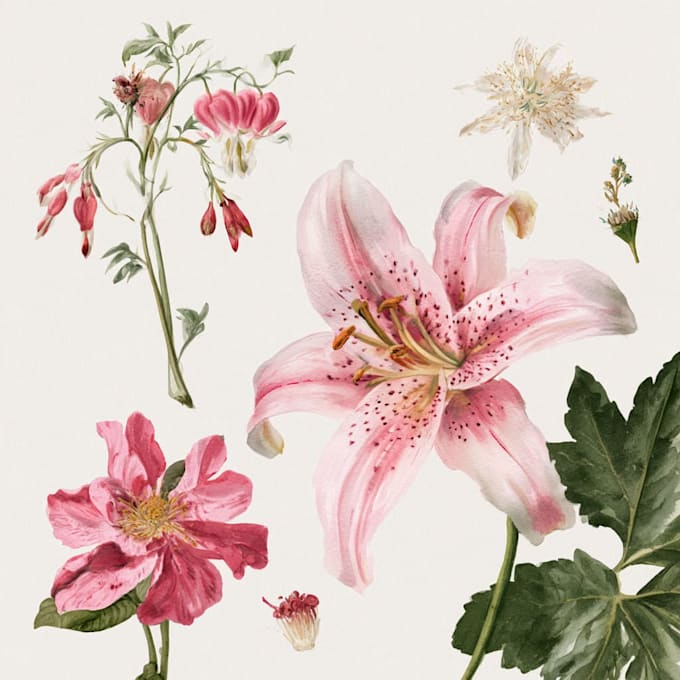 illustrate best botanical illustration