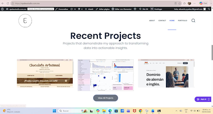 build a professional and responsive wordpress website
