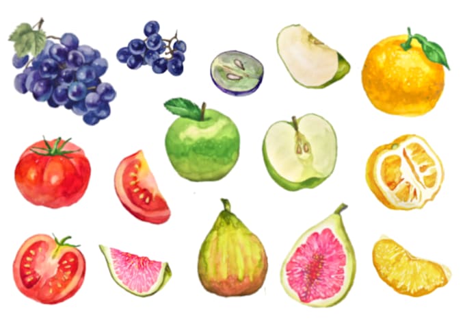 provide custom food illustrations for menus