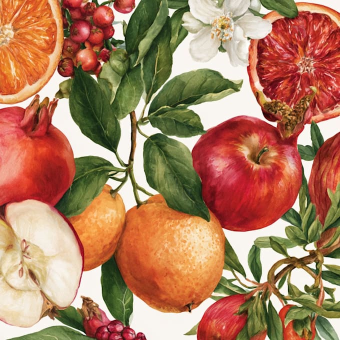 illustration botanical and flower beautifully