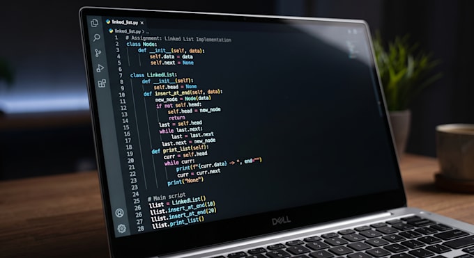 help you with any programing assessment