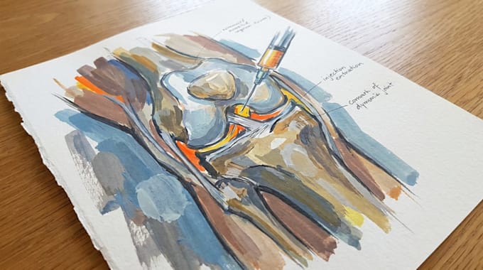 draw professional medical illustrations