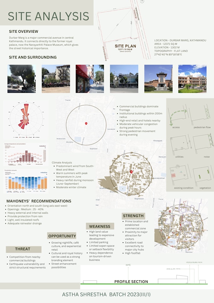 design a professional canva presentation slides