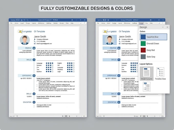 write and design a professional ats europass CV and resume