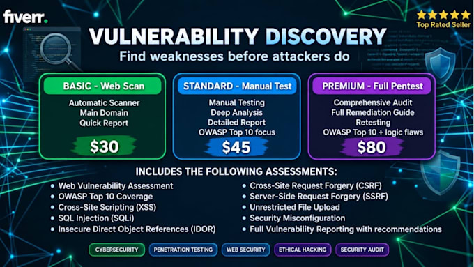do web security penetration testing and wordpress security audit