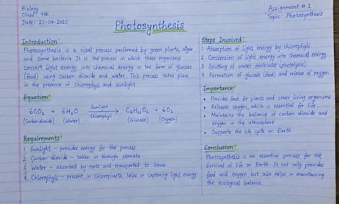 do neat and beautiful handwritten assignments, typing work