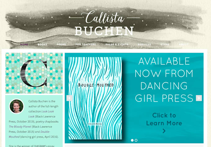 design an author website book author website