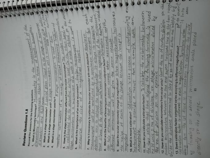 write any academic notes paragraphs and compositions