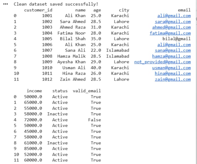 clean your data professionally
