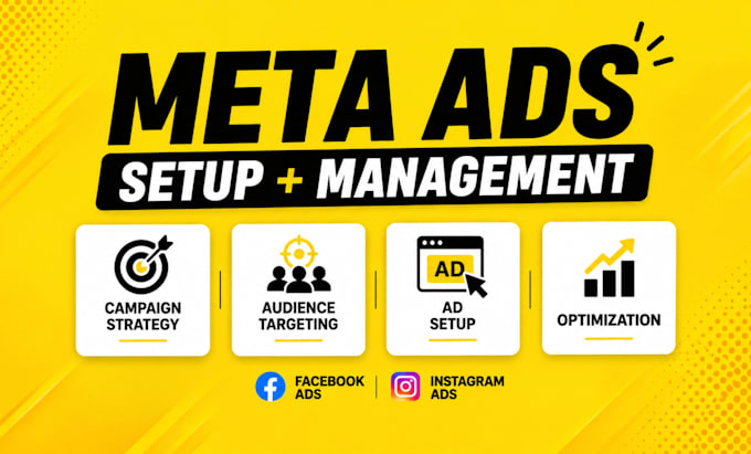 set up and manage meta ads campaigns