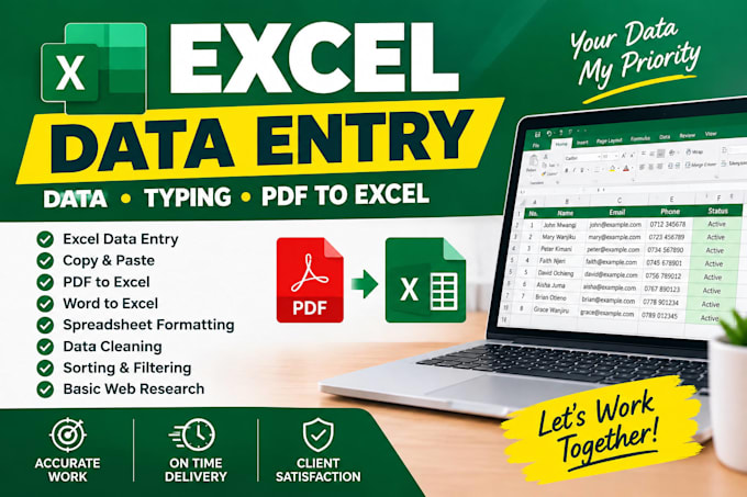 do accurate excel data entry, typing and spreadsheet formatting