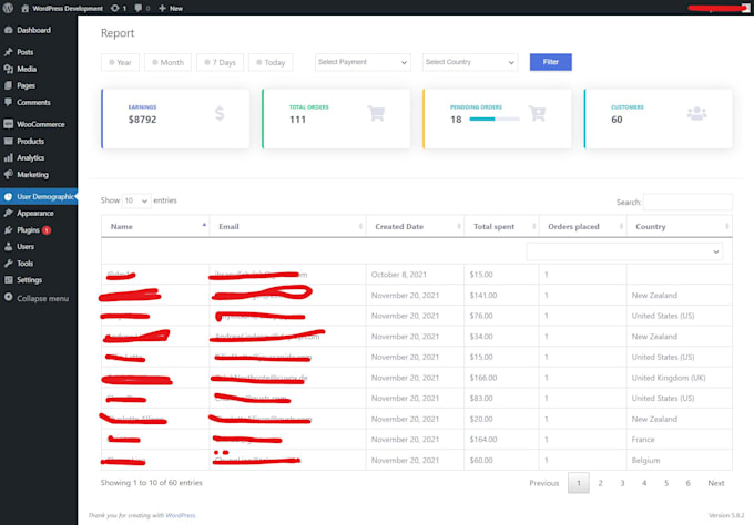 build custom wordpress plugin or woocommerce plugin