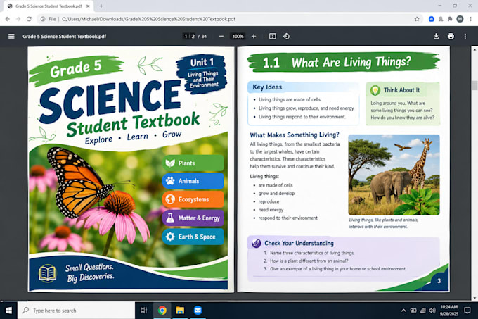 design educational textbook, workbook design curriculum booklet, lesson plan esl