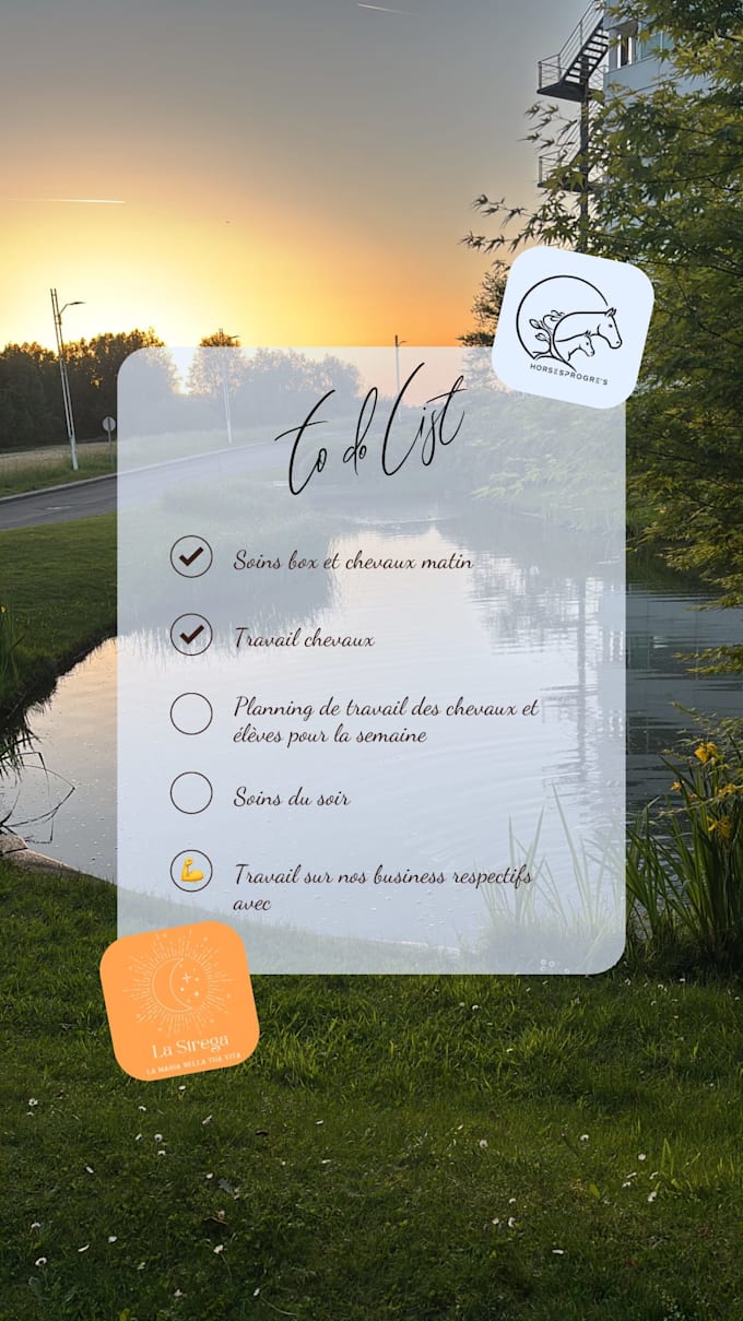 create canva social media visuals for your brand