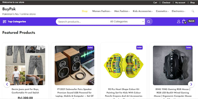 build a professional wordpress website or woocommerce store