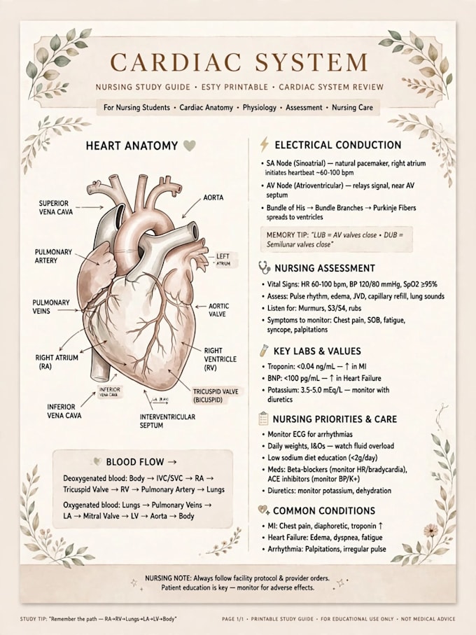 create nursing study guides and pharmacology notes