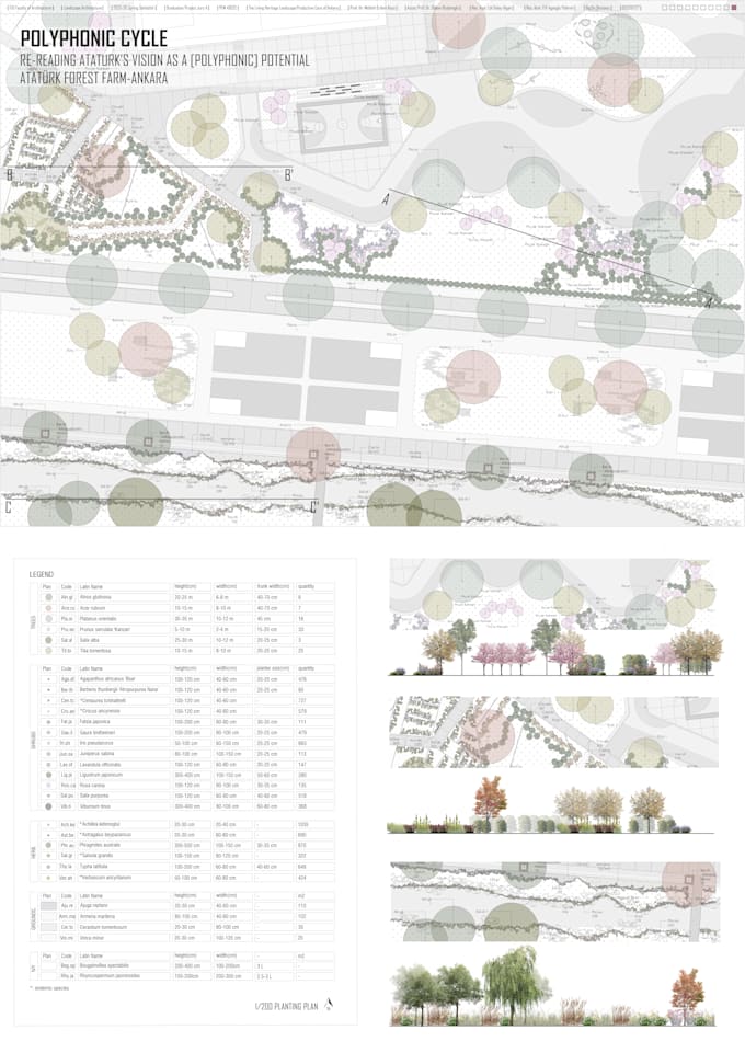 draft 2d landscape autocad plans and construction details