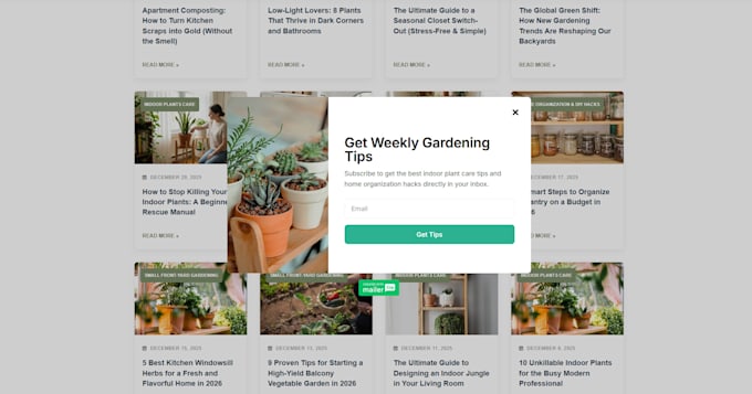 build an urgent custom HTML CSS wordpress website in 24 hour