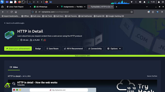 perform web application security testing and vulnerability assessment