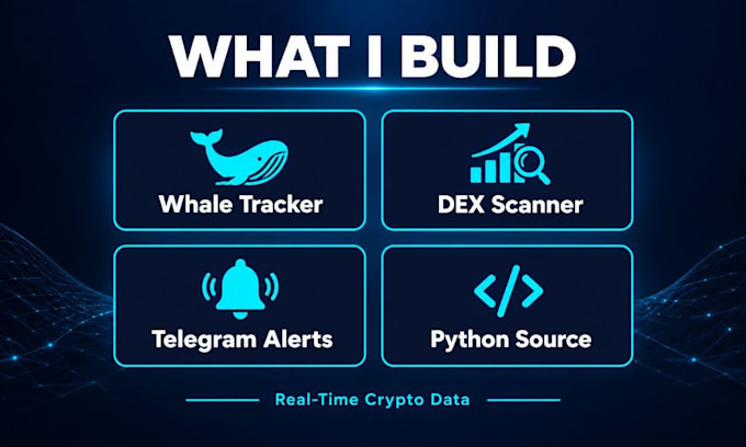 build a crypto whale tracker and dex liquidity scanner in python