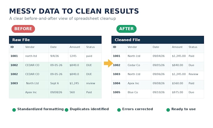 clean organize and format your excel financial data