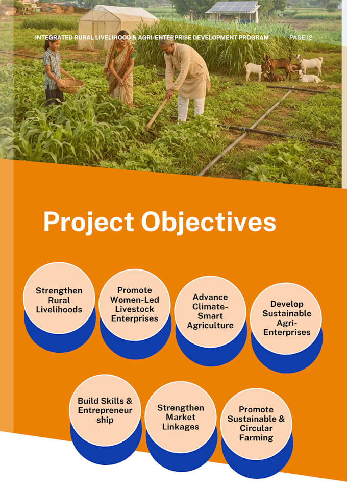 write professional csr and ngo project proposals