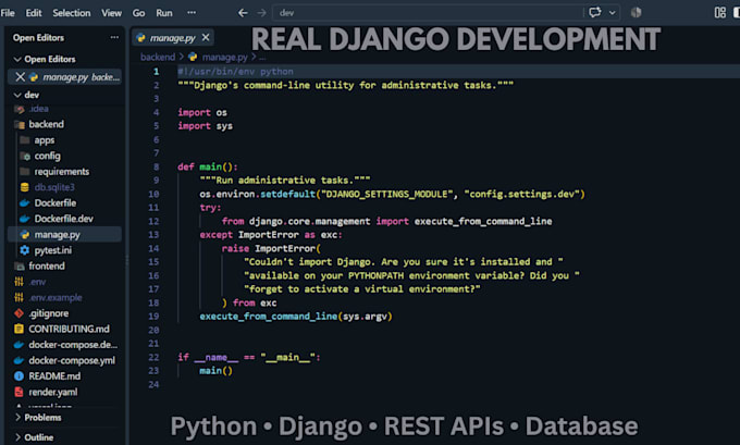 fix bugs and errors in your python django web application