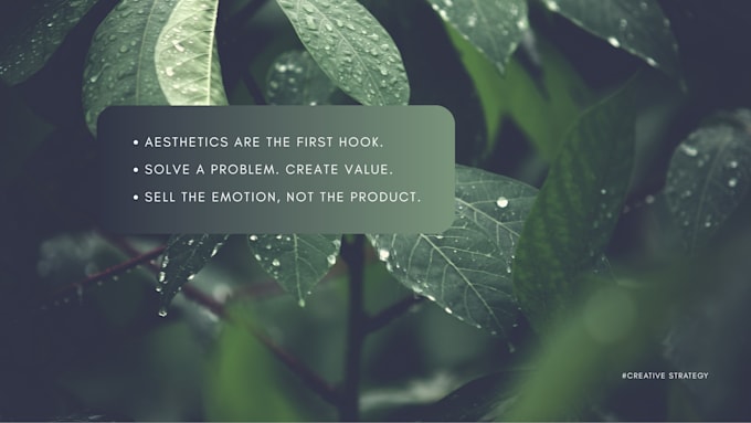 design your meta ad creatives