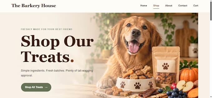 build a custom ecommerce website