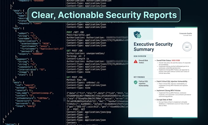 perform web application and network penetration testing