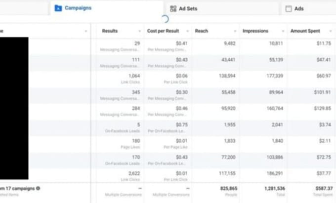 manage your facebook and instagram ads effectively